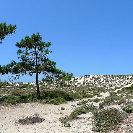 Comporta Beach House Bagian luar foto