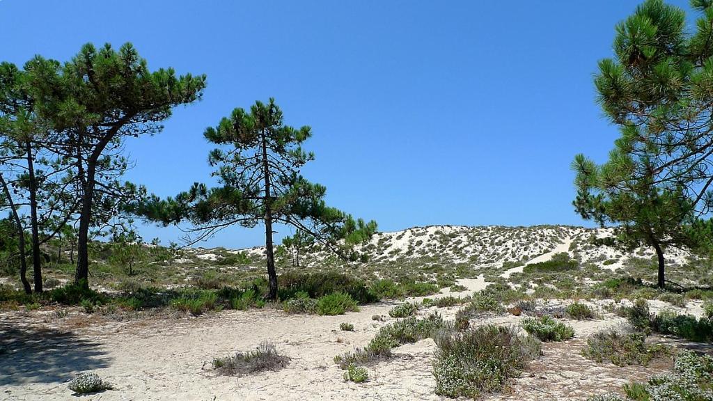 Comporta Beach House Bagian luar foto